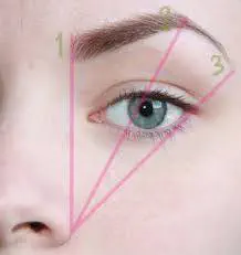 Quelle forme de sourcil choisir ?